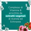 BE-TOTAL BeTotal Immuno Protection Integratore Alimentare Difese Immunitarie Vitamina B Zinco 14 Bustine - BE-TOTAL - 976394256
