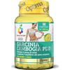 COLOURS OF LIFE GARCINIA CAMBOGIA 60CPR COLOUR - COLOURS OF LIFE - 925654345