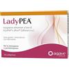 AGAVE LADYPEA 30CPR - AGAVE - 948316551