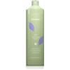 Echosline No Yellow Shampoo 1000 ml