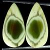 Handmade Coppia Abbinate Jasper Imperiale Naturale A Forma Di Goccia 11x22x3mm 12.40Cts