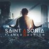 Saint Asonia Flawed design (Vinyl LP) 12" Album