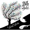 BaBa ZuLa Derin Derin Album