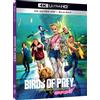 Warner Bros. Birds of Prey (4k+Br) (4K UHD Blu-ray) Robbie Winstead Smollett-Bell Perez