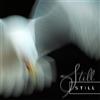 Aria Rostami & Daniel Blomquist Still (CD) Limited Album