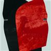 Rival Consoles Persona Album