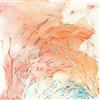 Tiger Hatchery Live in New Haven (Feat. Paul Flaherty) (Vinyl LP) 12" Album
