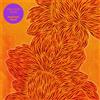 Nubiyan Twist Find Your Flame 12" Album Coloured Vinyl (Limited Edition)