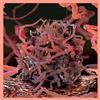 Bit-Tuner EXO (Vinyl LP) 12" Album