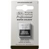 Winsor & Newton Professional - Vernici ad acquerello, vivaci e resistenti alla luce, pigmenti per artisti, 1/2 GODET, colore: Nero D'Avorio