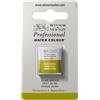 Winsor & Newton Professional - Vernici ad acquerello, vivaci e resistenti alla luce, pigmenti per artisti, 1/2 GODET, colore: Verde Oliva