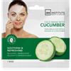 IDC INSTITUTE Cucumber 22 g