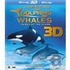 Dolphins and whales (3D) - Tribes of the ocean (Blu-ray)
