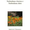 Gabriele D'Annunzio Turlendana ritorna e Turlendana ebro (Tascabile)