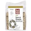 Baule Volante Semi di Girasole Bio - Semi di Girasole Sgusciati - Ricchi di Proteine e Fibre - Perfetti per una dieta vegetariana o vegana - 250g