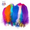 HMCEY 500 Pezzi Piume Decorative Colorate,HMCEY Piume Lavoretti (6-12 cm) | Piume D'Oca Naturali,Disponibili In Diverse Misure,Sicure e Atossiche,per Costumi, Cappelli, Orecchini, Sogni Catturati