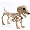 JOYIN Wiener - Scheletro di cane in plastica da 61 cm, scheletro snodabile, decorazioni per Halloween con giunti mobili, per scene di cimiteri, casa infestata, decorazione per feste, spettrale
