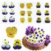 CATZUM 18 Pezzi 6 Tipi di Fiori Naturali Essiccati e Pressati, Commestibili - Mix di Viola Tricolore per Decorazioni Torte, Cocktail e Progetti Fai-da-Te (Tricolore)