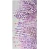 Pierre Tappeti Passatoia LAVANDA SELVATICA anti-macchia anti-scivolo lavabile in lavatrice cm.52x300 tappeto cucina bagno ingresso multiuso, disegno fiori stile floreale