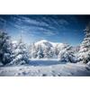 YongFoto 3x2m Inverno Neve Paesaggio Fotografia Sfondo Alberi di Natale Snowy Moutain Cielo Blu Natura Paesaggio Sfondo Natale Famiglia Festa Decor Bambini Ritratto Puntelli Foto Vinile