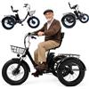 Generic Triciclo elettrico pieghevole per adulti da 20 pollici, con batteria da 48 V, ideale per spostamenti e shopping.