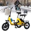 Generic Triciclo elettrico pieghevole per adulti, ideale per spostamenti quotidiani e per fare la spesa.