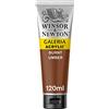 Winsor & Newton Galeria Colore Acrilico 120 Ml - Terra D'Ombra Bruciata