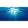 MIRRORANG 76x46cm Sottomarino Tema Acquario Sfondo Sole Oceano Acqua Subacqueo Mondo Acquario Sfondo