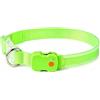 Domigard Collare Luminoso a LED per Cani, Ricaricabile USB | IPX7 Impermeabile e Regolabile, con 3 Modalità di Luce, Adatto per Cani di Taglia Media - Verde-M