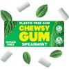 Chewsy alla menta verde | Chewing gum naturale, senza plastica | Senza zucchero, senza aspartame | 100% xilitolo, adatta ai denti | Vegano, 15 g (confezione da 12, 120 pezzi)