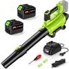 IERAKOR Soffiatore a Batteria con 2 Tubi e 2 Batterie 4.5 Ah | Motore Brushless 4815, 225 km/h, 650 cfm, 6 Velocità, 2 Tubi, 2 Batterie 4.5 Ah, senza Aspirazione, per Giardino e Auto
