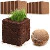 COM-FOUR® 10x terreno per coltivazione di cocco, fette di cocco | bricchette gonfiabili senza torba realizzate con fibra di cocco pressata - produce 10 litri di terriccio