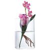 VASANA Vaso cilindrico in vetro trasparente alto 10,2 cm, vaso da fiori decorativo da tavolo, centrotavola, portacandele, vaso floreale idroponico per piante, bouquet, matrimonio, decorazione per la casa