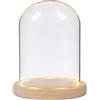 Nynelly Campana di Vetro con Base in Legno, Cloche a Cupola in Vetro Trasparente con Luce per Succulente, Keepsake, Centrotavola e Antiquariato, 3.5"D X 4.7"H