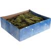 Holyart Muschio naturale per presepe 500 gr.