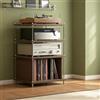 CJWKXQOL Rack HiFi in Legno Massello con Struttura in Acciaio Inox | Scaffale Audio Multilivello dal Design Moderno per Impianti Stereo e Home Theater(Brown-A)