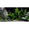 MIRRORANG 120x46cm Vinile Subacqueo Pianta Acquatica Acquario Sfondo Pietra Fiume Letto & Lago Acquario Sfondo