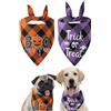 Roontin Bandane per cani di Halloween - costume cosplay ragno spettrale per cani di taglia media e grande