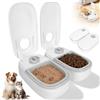 Qurxuanwe Distributore Automatico Cibo Gatti con Timer 48 ore, Dispenser Crocchette Gatto Cane 700 ml Lavabile, Mangiatoia Automatica per Animali Domestici, Alimentatore per Secco e Umido Gatti Cani di Piccola