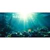 MIRRORANG 120x46cm Sottomarino Tema Acquario Sfondo Sole Subacqueo Mondo Pesce Serbatoio Sfondo