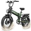 APEFOX Bicicletta elettrica