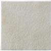 COLOPLAST SpA BIATAIN ALGINATE AG 10X10 10PZ