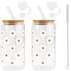 VIQIHEOE Set da 2 Bicchieri in vetro, 500ml, con coperchio e cannuccia, a forma di barattolo con motivo Daisy, Bicchieri Daisy, con spazzola per la pulizia, per caffè, smoothie, matcha, cocktail