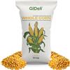 GiDeli Mais intero per galline 10 kg - Mangime anatre, oche e piccioni | Ingrediente singolo, chicchi gialli essiccati, senza conservanti, adatti anche a conigli e cavalli, pronti nel becchime