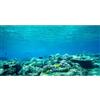 MIRRORANG 120x46cm Acquario Sfondo Pianta Acquatica Fiume Pesce Serbatoio Poster Sfondo Vinile