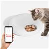 ZYfeeder Freschezza Ricarica di alimenti secchi e bagnati Alimentatore automatico per animali domestici Alimentatore intelligente per gatti Distributore di cibo per cani Pulsante WiFi Temporizzazione