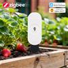 coolo Zigbee Smart Soil Tester Umidità Temperatura Sensore di Umidità per Impianto Giardino Funziona con Assistente Domestico Zigbee2MQTT