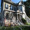 CHICIEVE Halloween Ragnatele Halloween Prop Decor Spaventoso Party Scene Indoor Outdoor Festival Decorazione per Bar Haunted House,Abbastanza per Coprire 1000 Piedi Quadrati (300g Spider Web)