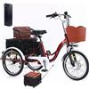 Generic Triciclo elettrico per adulti, batteria da 48 V, ideale per gli spostamenti quotidiani e per fare la spesa.