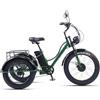Generic Triciclo elettrico per adulti e anziani, 7 velocità, adatto a tutti i terreni, per la mobilità all'aperto.